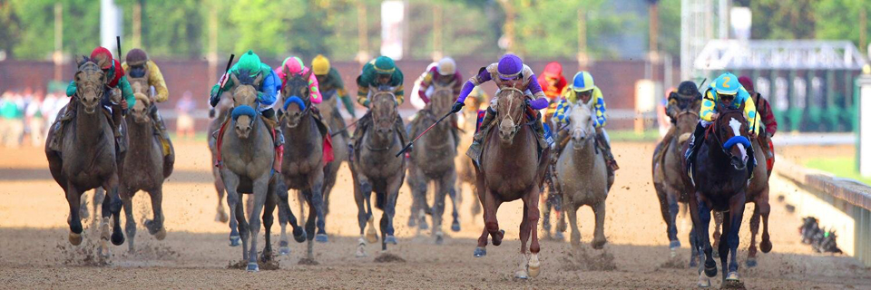 Horse Racing Regulation