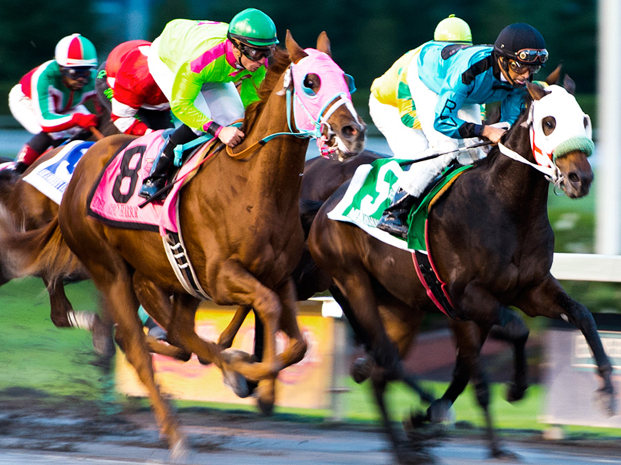 Good Horse Betting Tips Good Horse Betting Tips