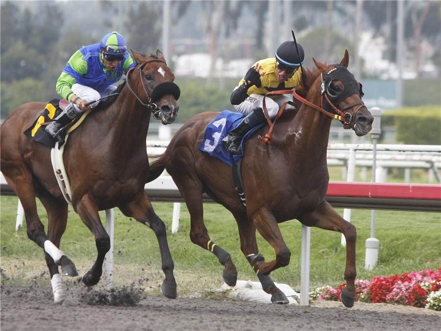 HORSE WAGERING Online Horse Betting Tips, Terms & Strategy